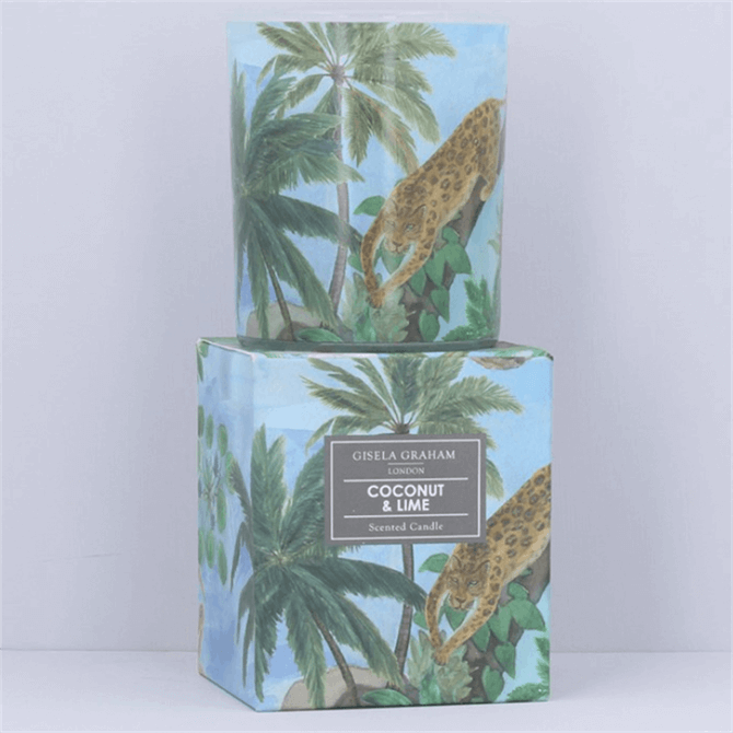 Gisela Graham Coconut & Lime Scented Boxed Candle